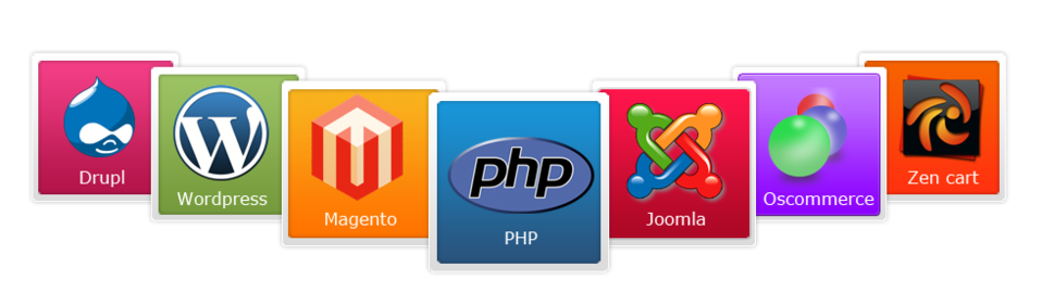 Php, magento, wordpress, jquery online teacher